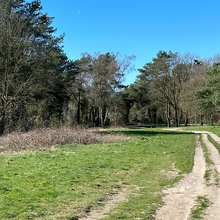 Bungalow Veluws Vertoeven Putten