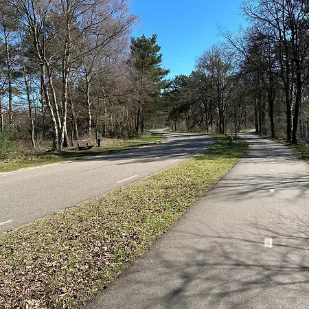 Prázdninový dům Bungalow Veluws Vertoeven *