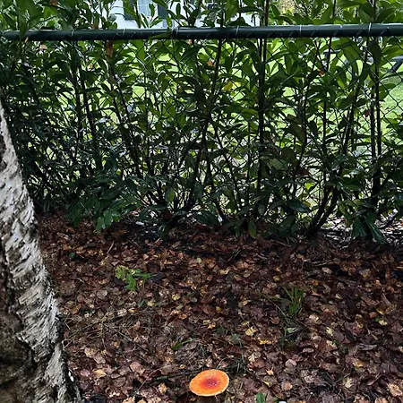 Bungalow Veluws Vertoeven Prázdninový dům Putten