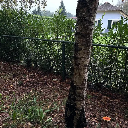 Bungalow Veluws Vertoeven Prázdninový dům